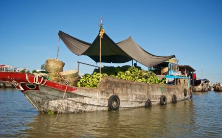 Mercato galleggiante di Chau Doc