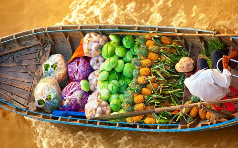 VACANZA IN CAMPAGNA CON BAMBINI