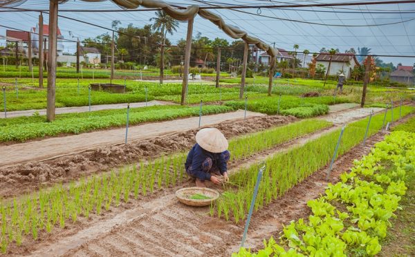 Villaggio di Tra Que