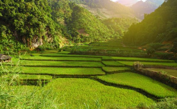 TOUR A MAI CHAU, VIETNAM DEL NORD