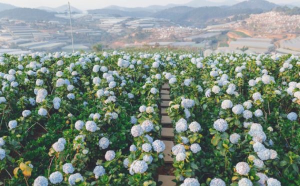 Villaggio di Trai Mat