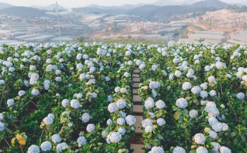 VACANZE DI LUSSO IN VIETNAM PER FAMIGLIA