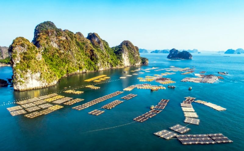 TOUR ESPERIENZIALE VIETNAM PER FAMIGLIA