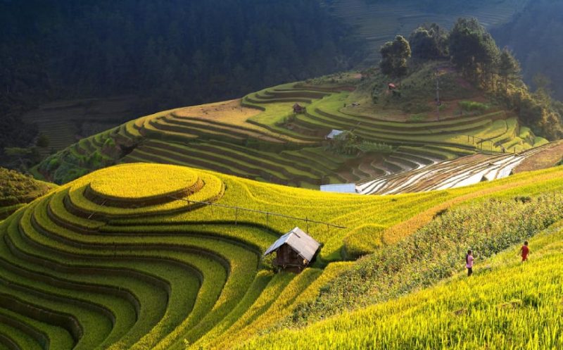 TOUR VIETNAM DEL NORD – LUNGO LE STRADE MENO BATTUTE