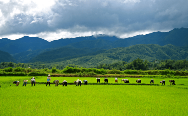 Provincia di Dien Bien