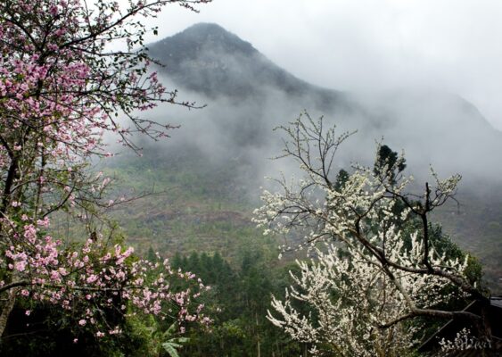 điện Biên Tháng 3