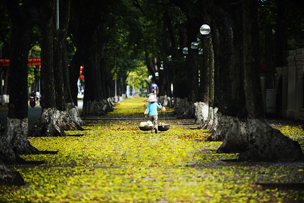 Ha Noi Mua Thu 1