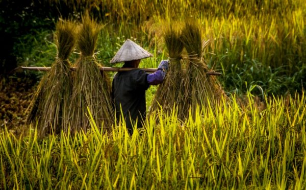 TOUR TREKKING A CAO BANG, VIETNAM