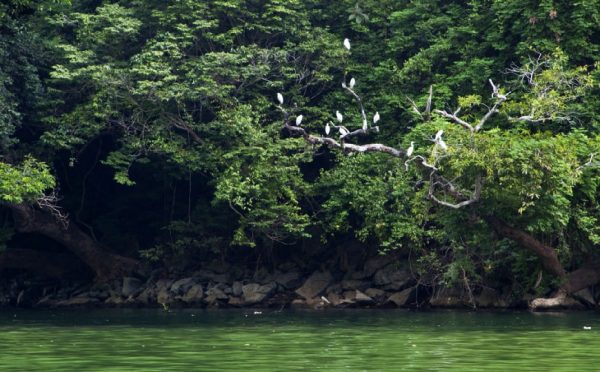 TREKKING TOUR AL LAGO DI BA BE