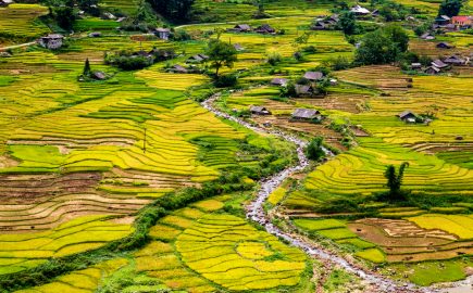 Trekking Nel Nord Ovest Vietnam