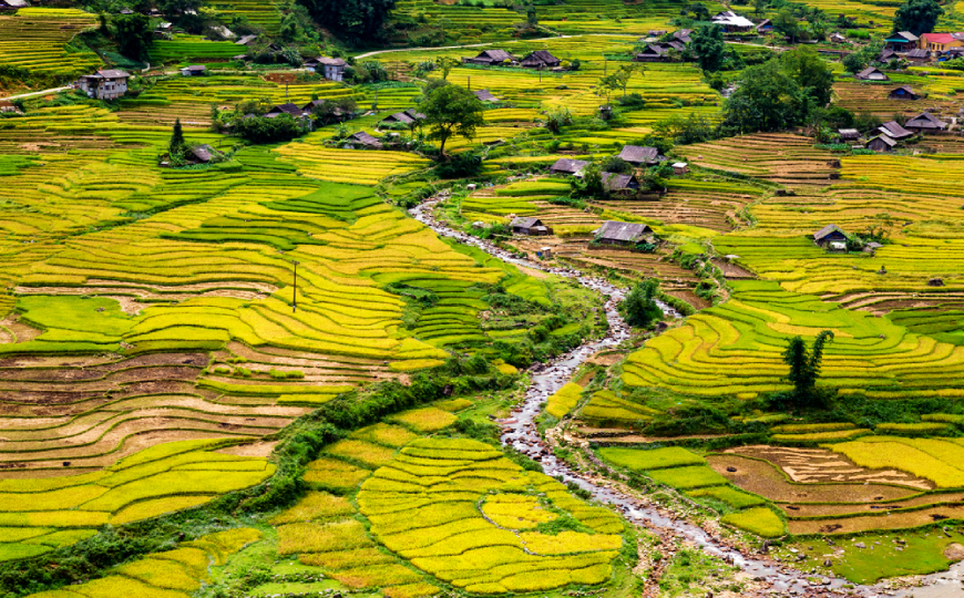 Trekking Nel Nord Ovest Vietnam