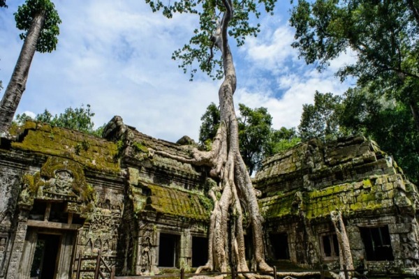 Tempio Ta Phrom