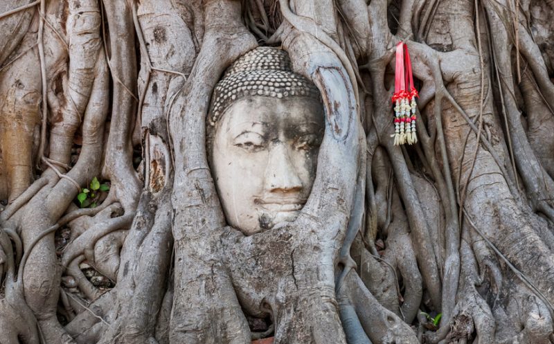 VACANZA IMPERDIBILE IN THAILANDIA