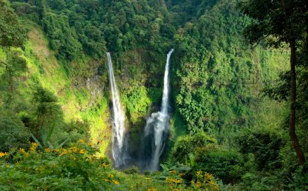Boloven Plateau Laos