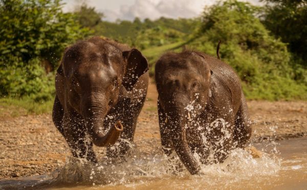 VIAGGIO IN MERAVIGLIOSO LAOS