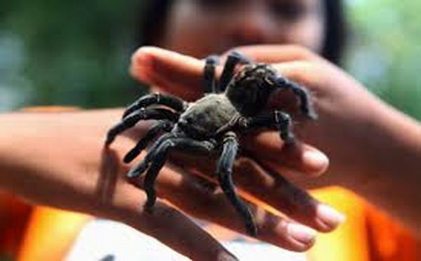 VIAGGIO DI NOZZE IN CAMBOGIA