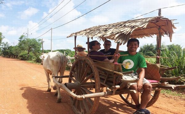 Giro in veicolo trainato da buoi