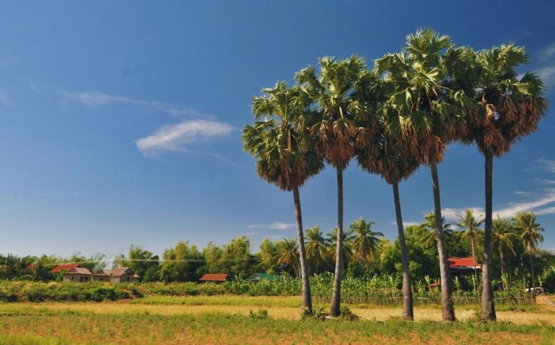 TOUR IN CAMBOGIA: SITI IMPERDIBILI E VITA LOCALE