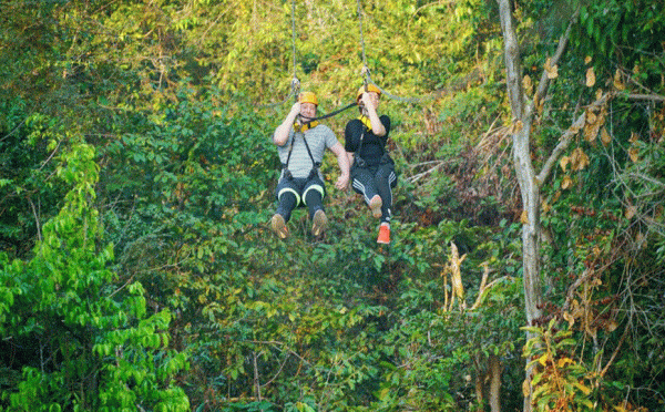 Zipline in giungla