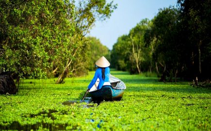 Tour Vietnam Cambogia Foresta Di Tra Su 1