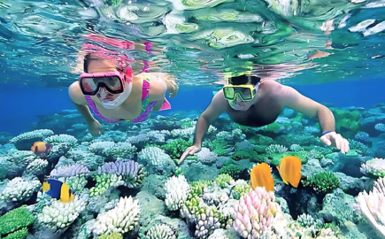 Fare snorkeling